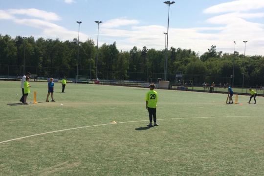 cricket challenge 2019